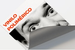 Vinilo polimérico impreso