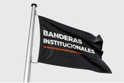 Banderas institucionales personalizadas
