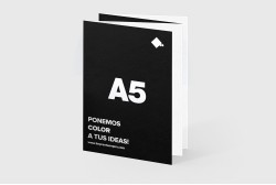 Cuadrípticos promocionales